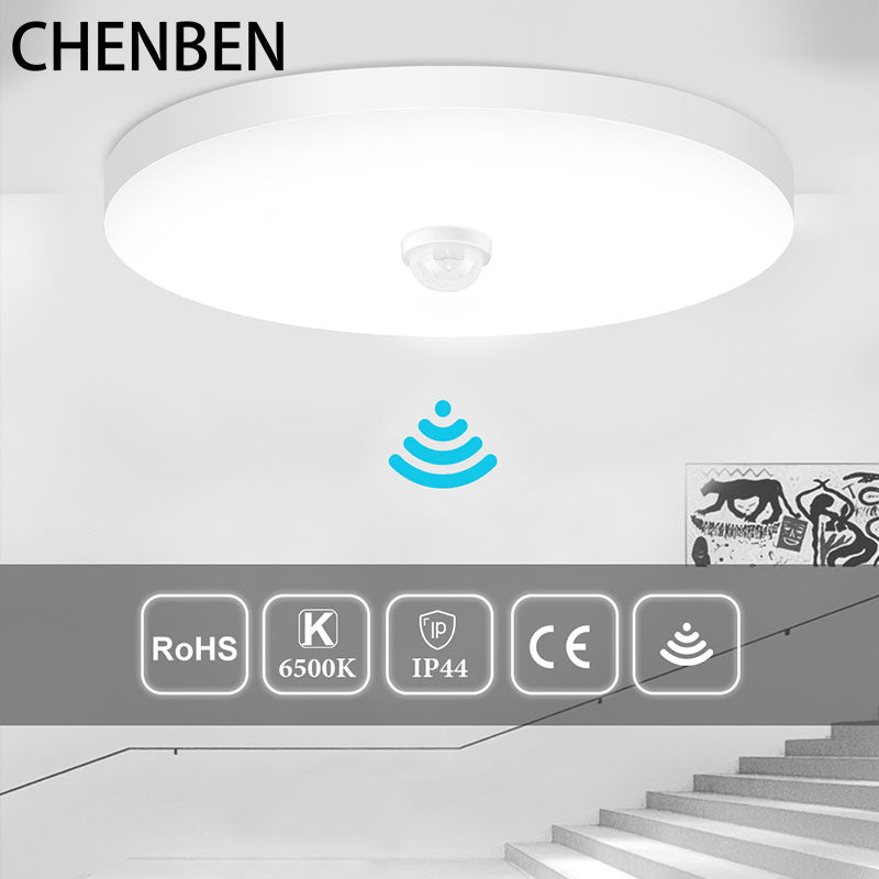 New Motion Sensor Ceiling Lamps