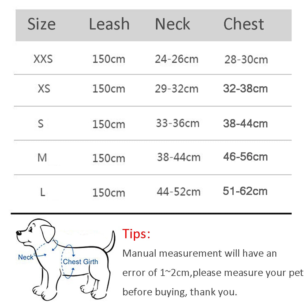 New Dog Harness Leash Set