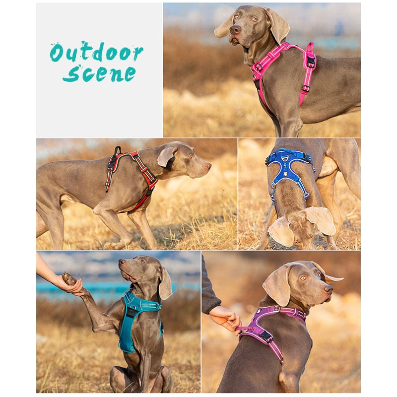 Front Nylon Dog Harness