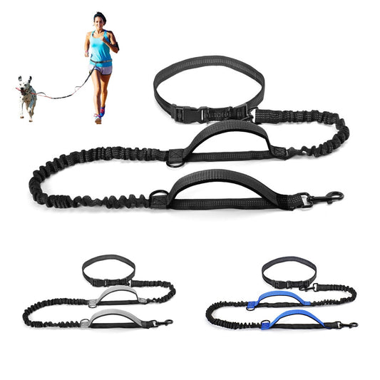High Quality Retractable Hands Free Dog Leash