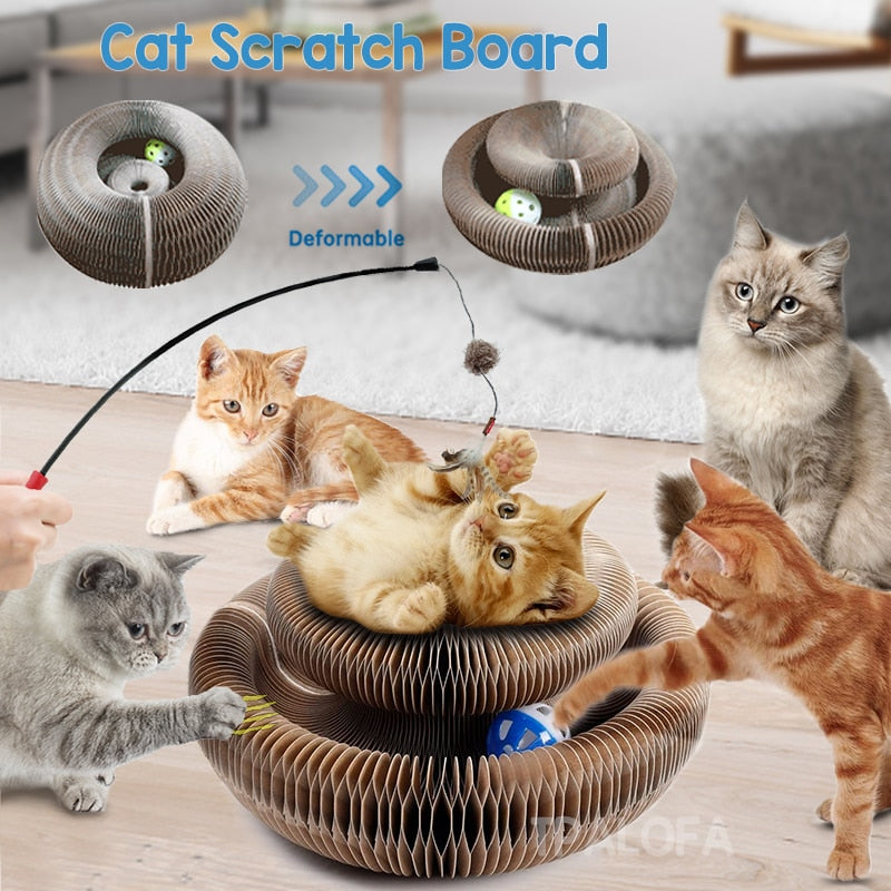 Magic Organ Scratching Board Cat Toys
