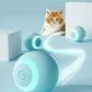 New Smart Cat Toys