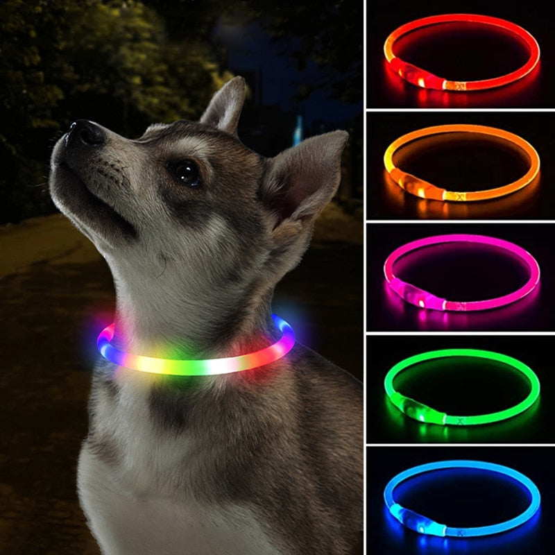 New Led Dog Collar
